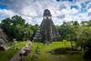 An image showing the ancient Maya city of Tiakal