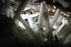 Enormous gypsum crystals in a Naica cavern, found during mining; the silhouette of a miner in the bottom right provides scale