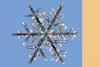 Cover extract - Language of Mathematics in Science