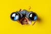 Someone with a pair of binoculars bursting through a wall of yellow paper