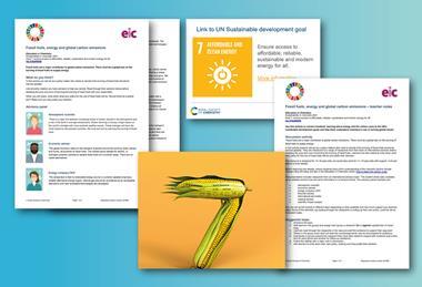 An image showing the pages available in the downloads with corn in the shape of a 7 in the foreground. 