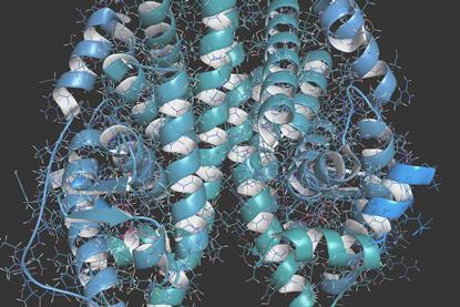 A 3D rendered model showing the structure of an oestrogen receptor molecule.