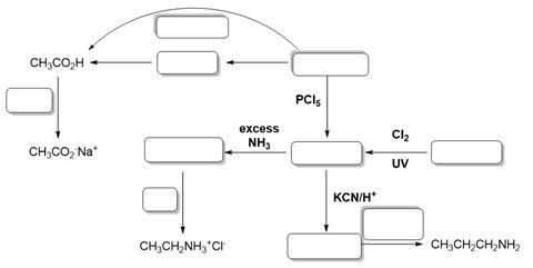 Organic synthesis image 3